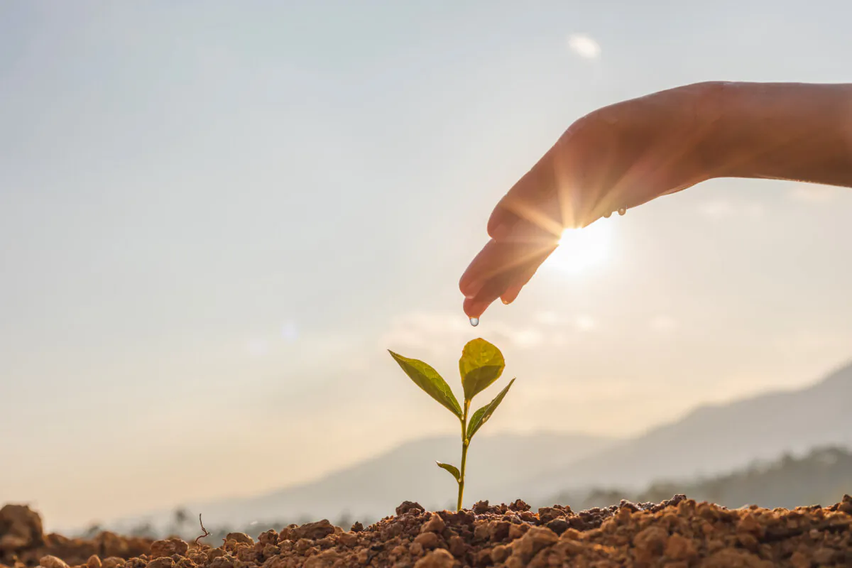 Healthy soil and a healthy gut share over 70 percent of the same DNA. That’s not a coincidence, writes Mollie Engelhart. (HTWE/Shutterstock)