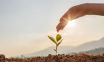 It’s Seed-Sowing Season