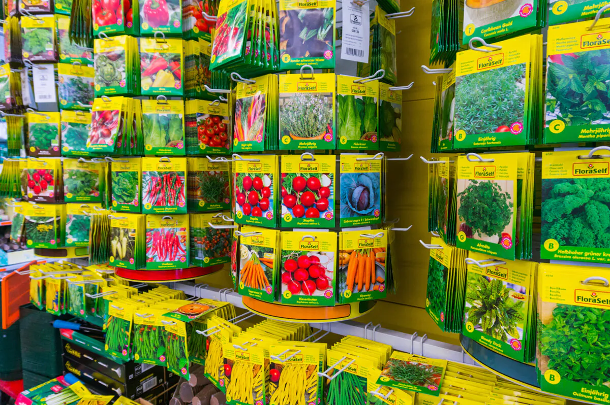Sustainable gardening starts with products used for starting seeds. Continue the trend throughout the growing season by conserving water, repurposing leaves into mulch and recycling plant trimmings into valuable compost. (Dreamstime/TNS)