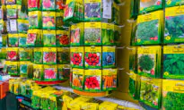 Many Benefits to Starting Your Plants From Seeds