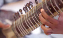 Bowed, Plucked, Strummed, and Struck: Stringed Instruments Around the World