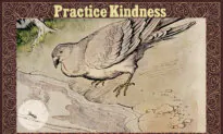 A Teeny-Weeny Ant Decides to Repay the Dove for Saving Its Life: Good Begets Good