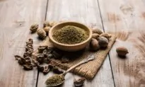 Triphala: Harnessing Ancient Wisdom for Modern Gut Health and Immunity