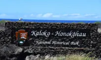 Taking the Kids: And Heading to Less Visited National Parks