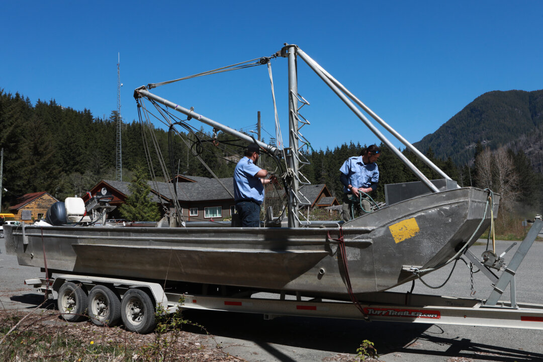 Bigger Boats, More Nets, People Arrive in Zeballos, BC, for New Orca Rescue Attempt