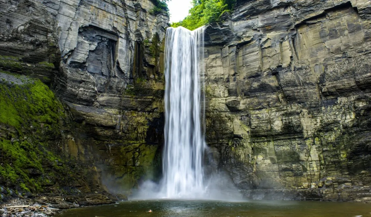 (Apolinariy/Shutterstock)