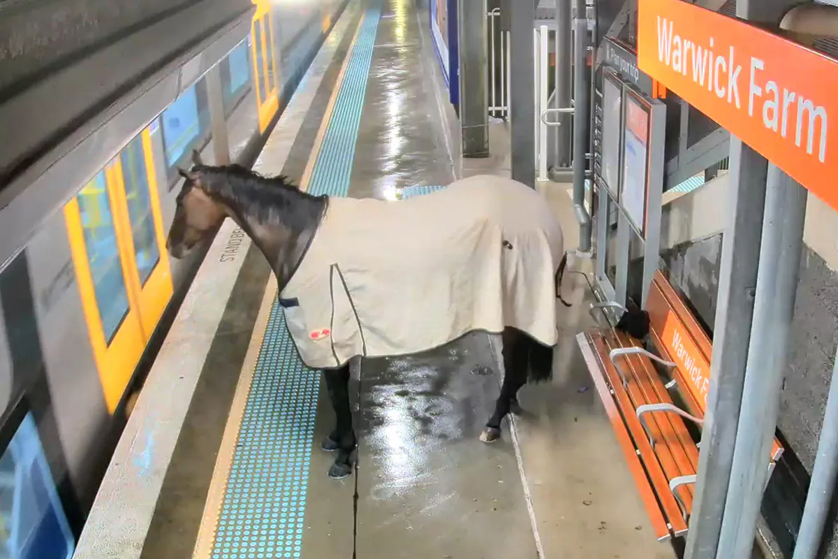 (Courtesy of Transport for NSW)