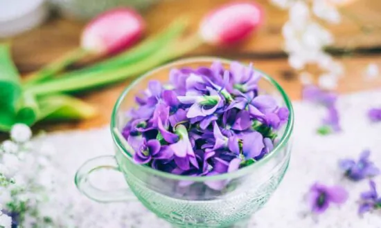 Weeds in Your Yard That Can Help Heal: Herbalist
