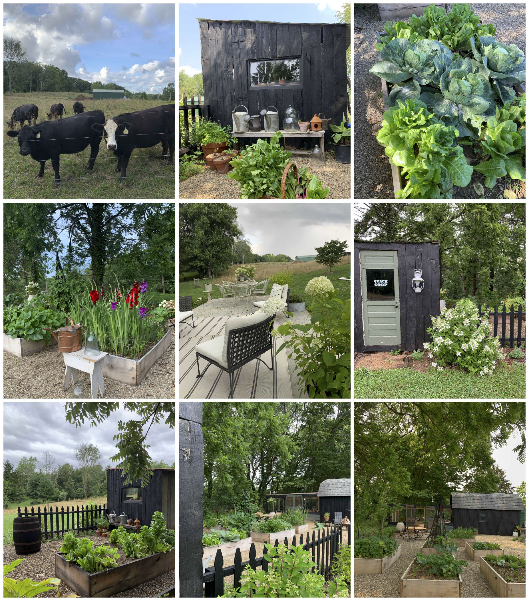 A collage of the exteriors of the Lowden family's ranch home.
