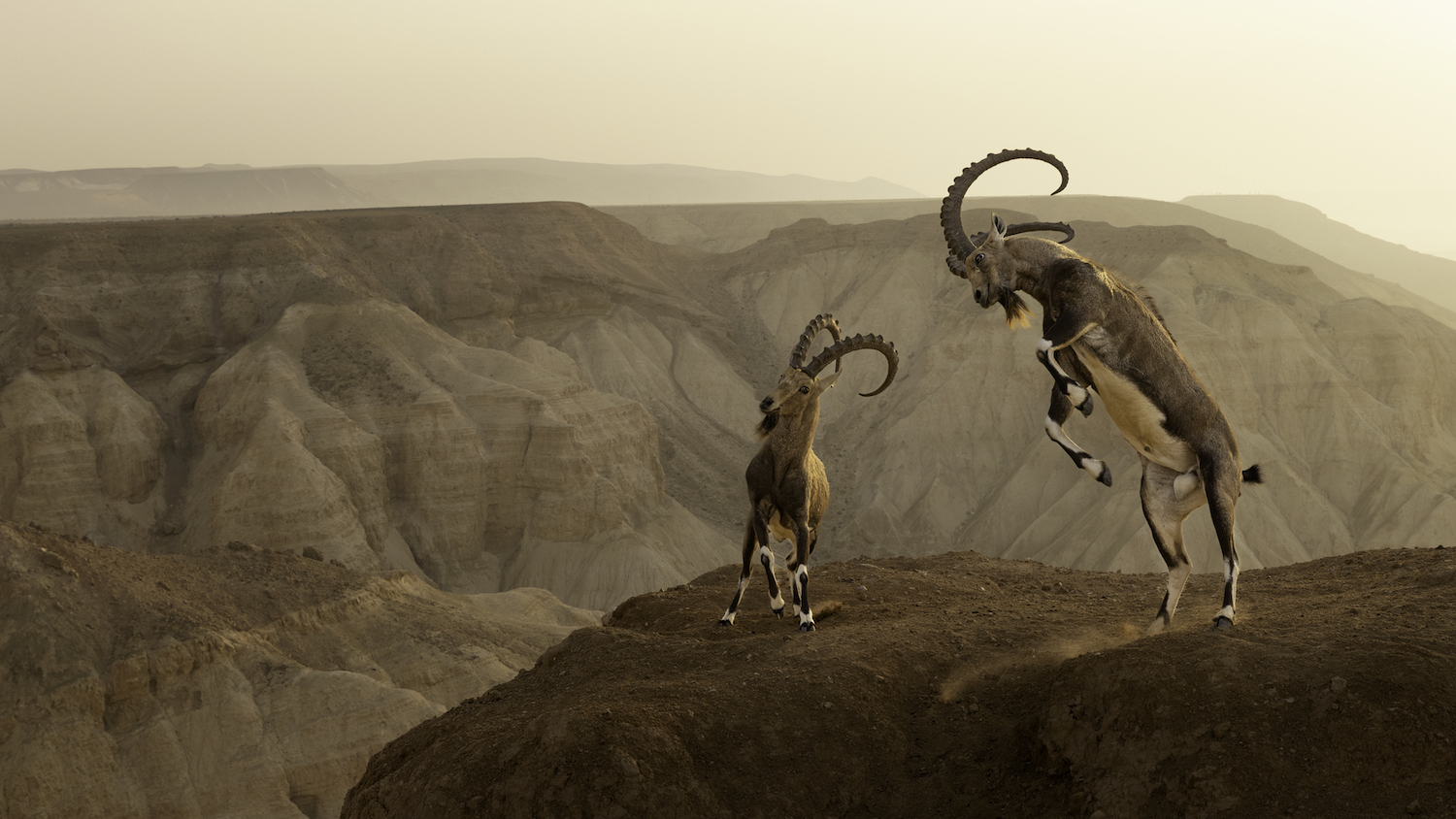 Livin on the Edge by Mr. Eshel.