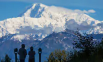 Wildlife, Wild Scenery, and Wild Stories in Denali