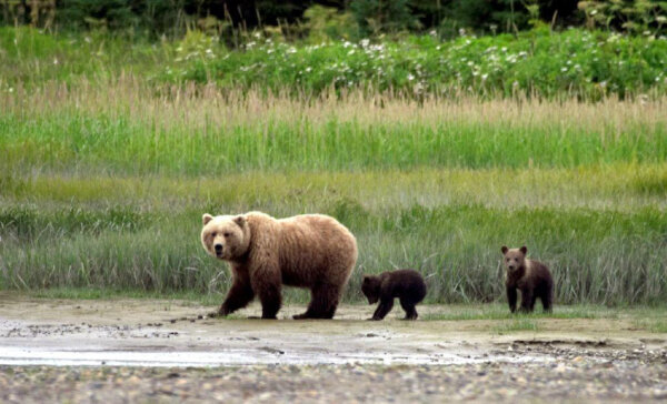 Epoch Times Photo