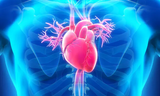 A Failing Heart Can Still Heal Itself: Study