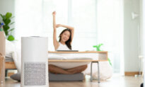 12 Air Purifiers to Get Rid of Airborne Dust, Pollen and Pet Hair
