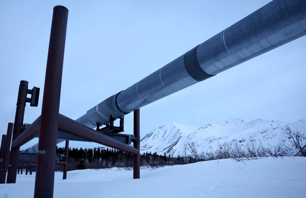 A part of the Trans-Alaska Pipeline System runs past Alaska Range mountains, near Delta Junction, Alaska, on May 5, 2023. (Mario Tama/Getty Images)
