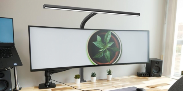 EppieBasic LED Desk Lamp