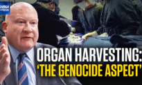 Organ Harvesting Is the Genocide Aspect: Expert