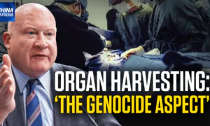 ‘Organ Harvesting Is the Genocide Aspect’: Expert