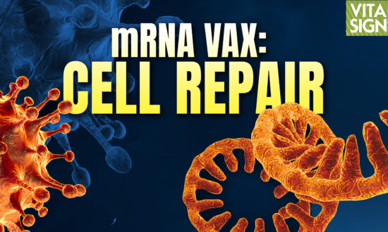 How mRNA Vaccine Cell Damage Can Be Reversed Through Lipid Replacement Therapy