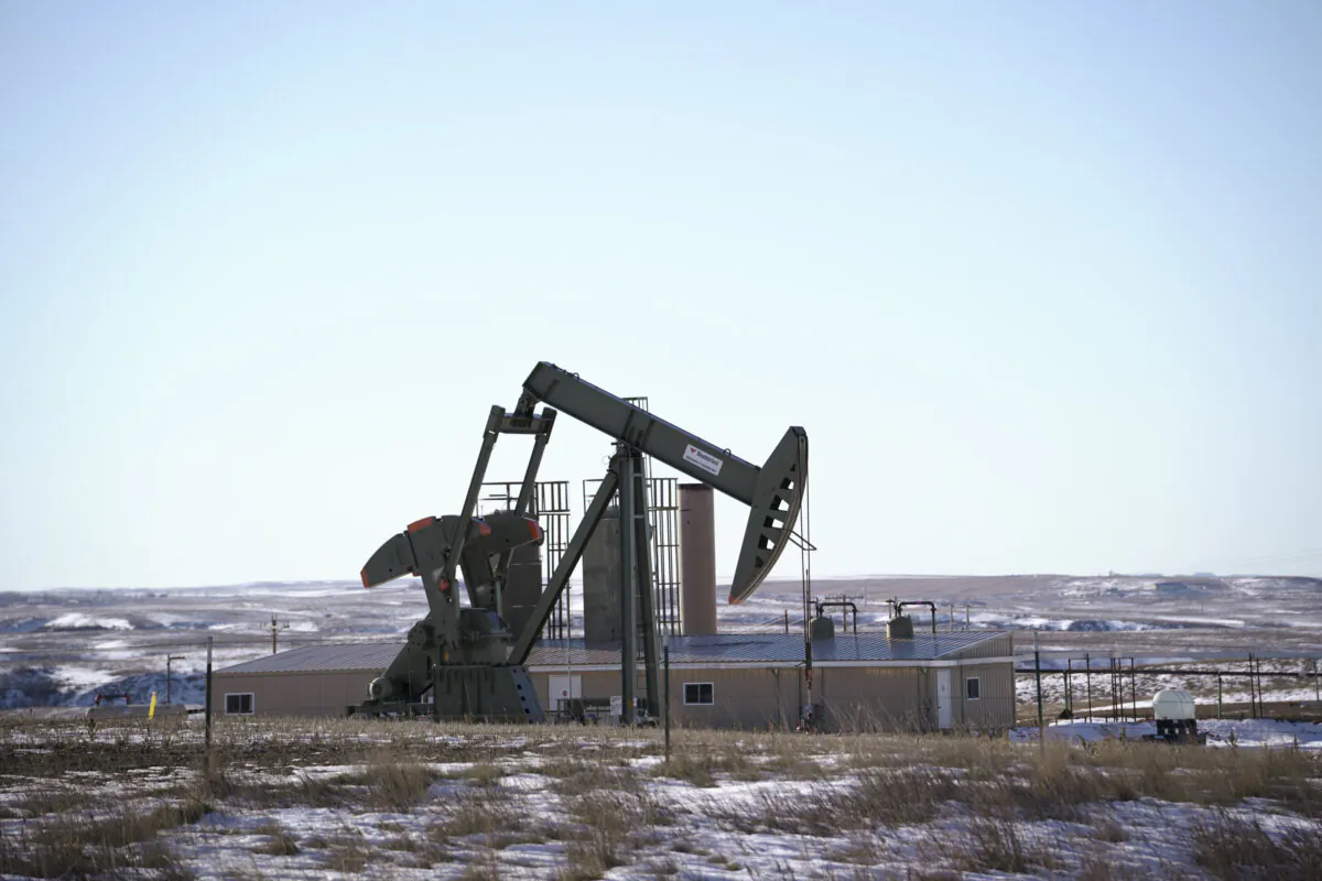 Oilfield pump jacks on an oilfield in McKenzie County, in Williston, N.D., on Dec. 21, 2023. (Madalina Vasiliu/The Epoch Times)