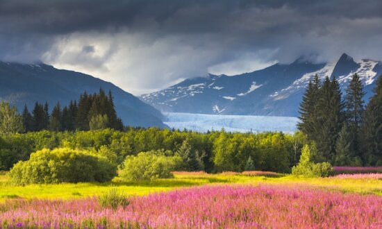 Juneau, Alaska: A City Where Indigenous Culture, Rich History, and Nature's Wonders Collide