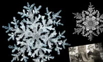 Vermont Farmer in 1885 Photographs First-Ever Ice Crystal Images With Microscope—Just Dazzling