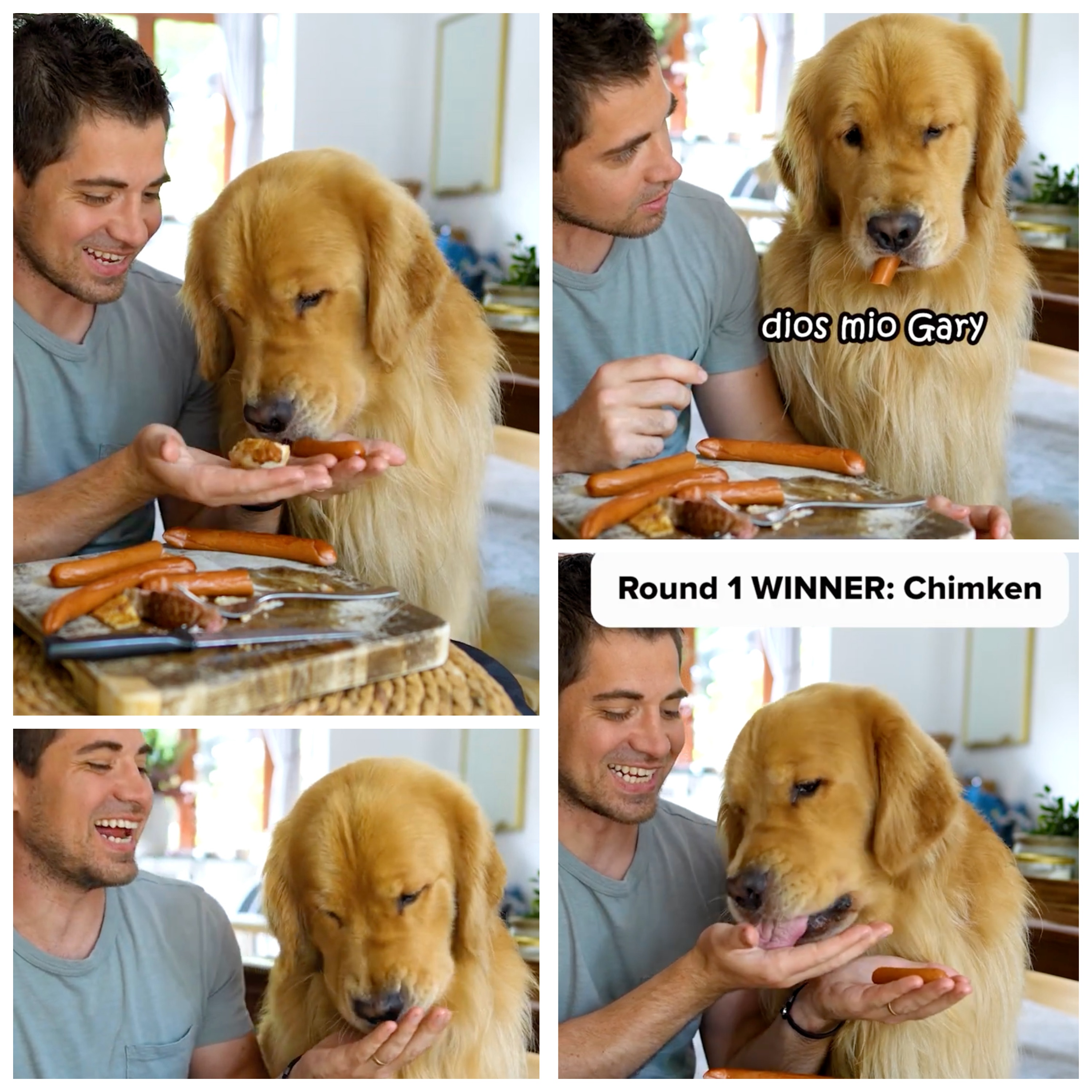 Marley trying out different food options.