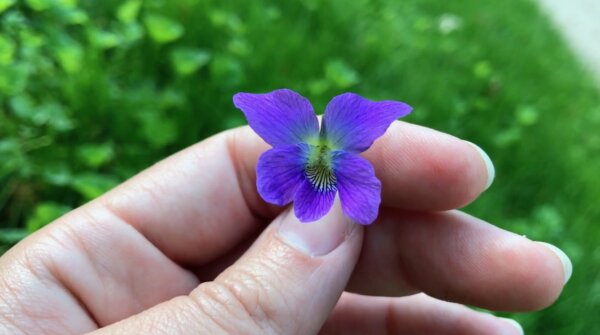 Epoch Times Photo