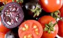 ‘Protect Our Seeds’: Canadian Farmers Raise Concerns Over Potential Sale of GM Seeds to Home Gardeners