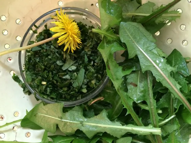 Dandelion. (Courtesy of Kami McBride)