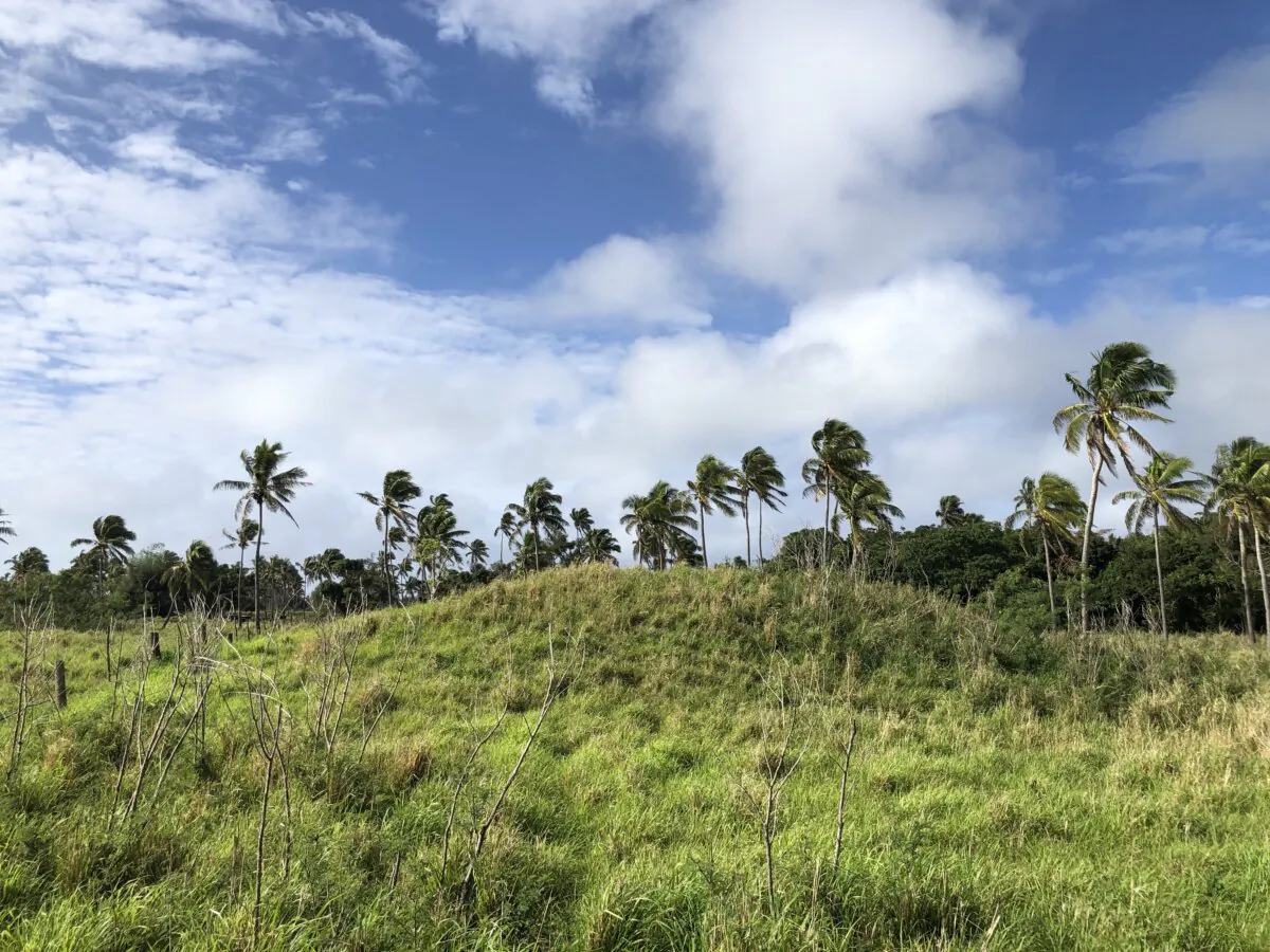 Site of the ancient Tongan city of Mu'a (Courtesy of Phillip Parton/Australian National University)
