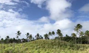 Ancient Tongan City Hints at Civilisation in the Pacific 700 Years Earlier