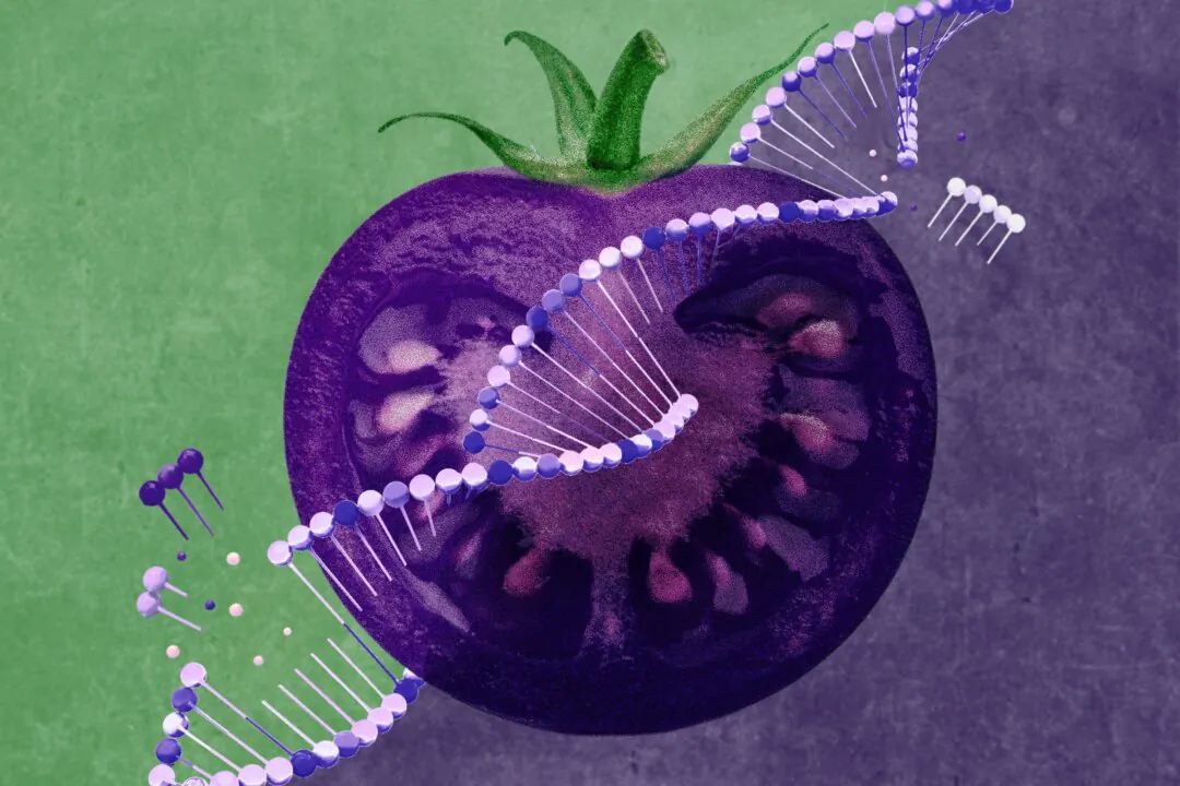 (Illustration by The Epoch Times/Shutterstock)