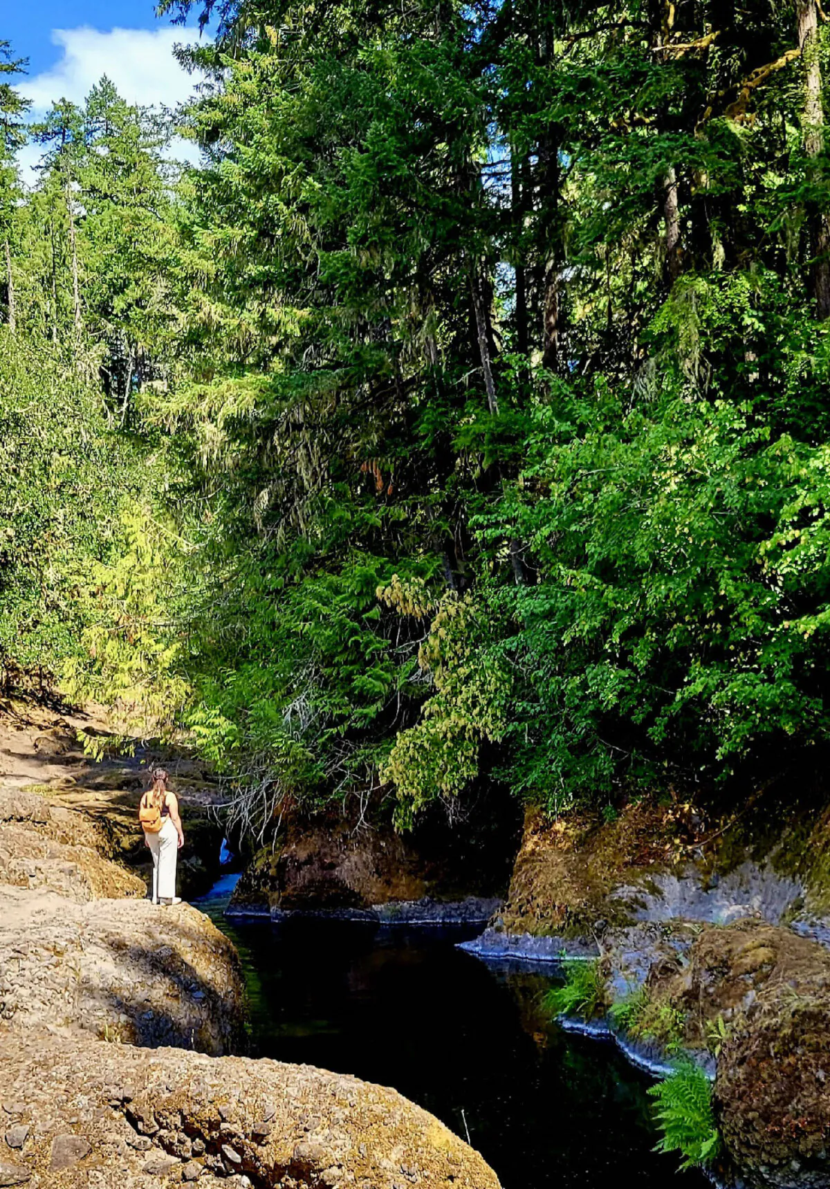 For a taste of nature, Deschutes Falls Park in Thurston County, Washington, is the place to go. (Jim Farber)