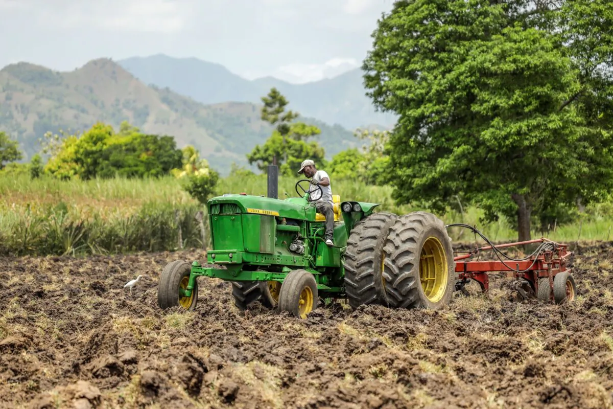 A worker operates tractor at New Roots Haiti, near Cap-Haitien, Haiti, on April 2024. (Alexis Wood-Ally Julien/New Roots)