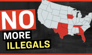 New State-Level Laws Forbid Illegal Immigrants From Crossing State Borders | Facts Matter