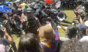 Video: Police Arrest Pro-Palestinian Protesters at University of Texas at Austin
