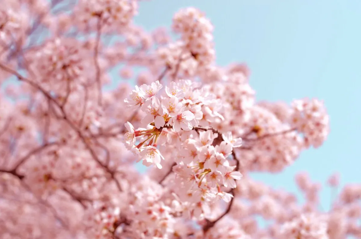 (Unsplash)