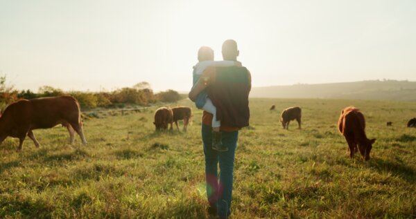 Five Reasons I Prefer Country Life