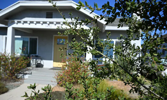Water Conservation By Growing Native Plants in Northern California