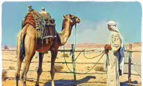 ‘Trust in God, But Tie Up Your Camel’: A Proverb of Faith and Responsibility