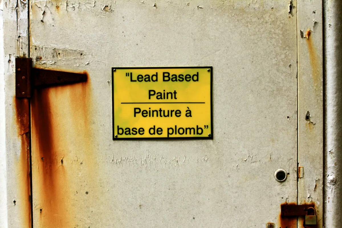Stick with EPA-recommended lead testing kits or professional testing for reliable results. (Gillian Entress/Shutterstock)