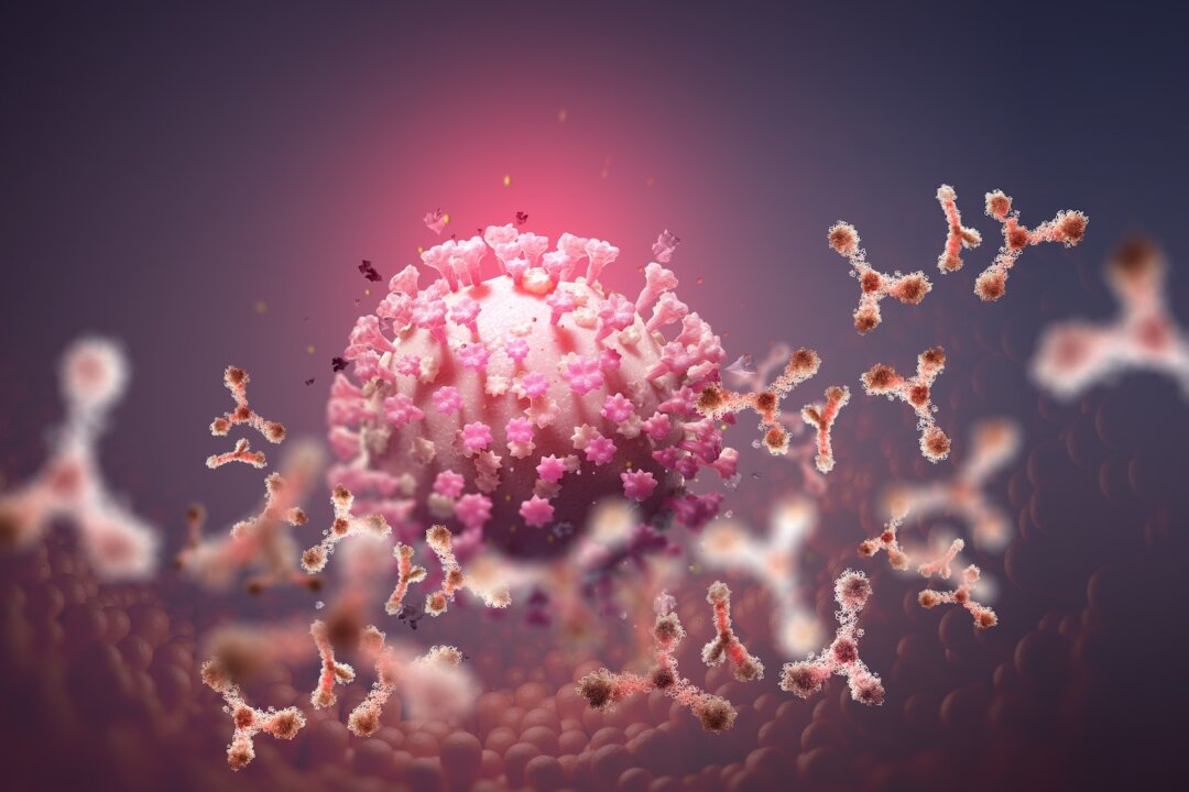 Terrain Theory vs. Germ Theory–A Fresh Look at an Old Principle