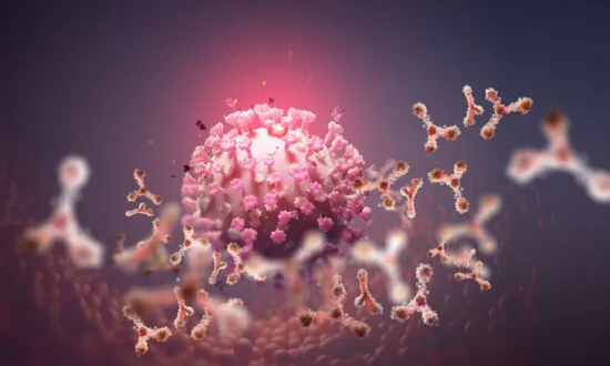 Terrain Theory Versus Germ Theory–A Fresh Look at an Old Principle