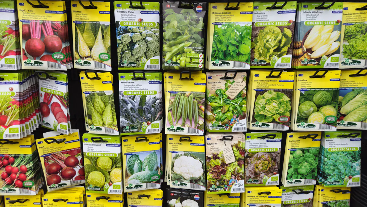 Much of the information you need to know can be found on plant tags and seed packets. Understanding this information can help you select plants suited to the growing conditions in your yard. (Dreamstime/TNS)