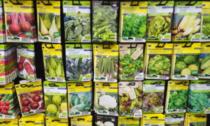 Understanding Plant Tags, Seed Packets