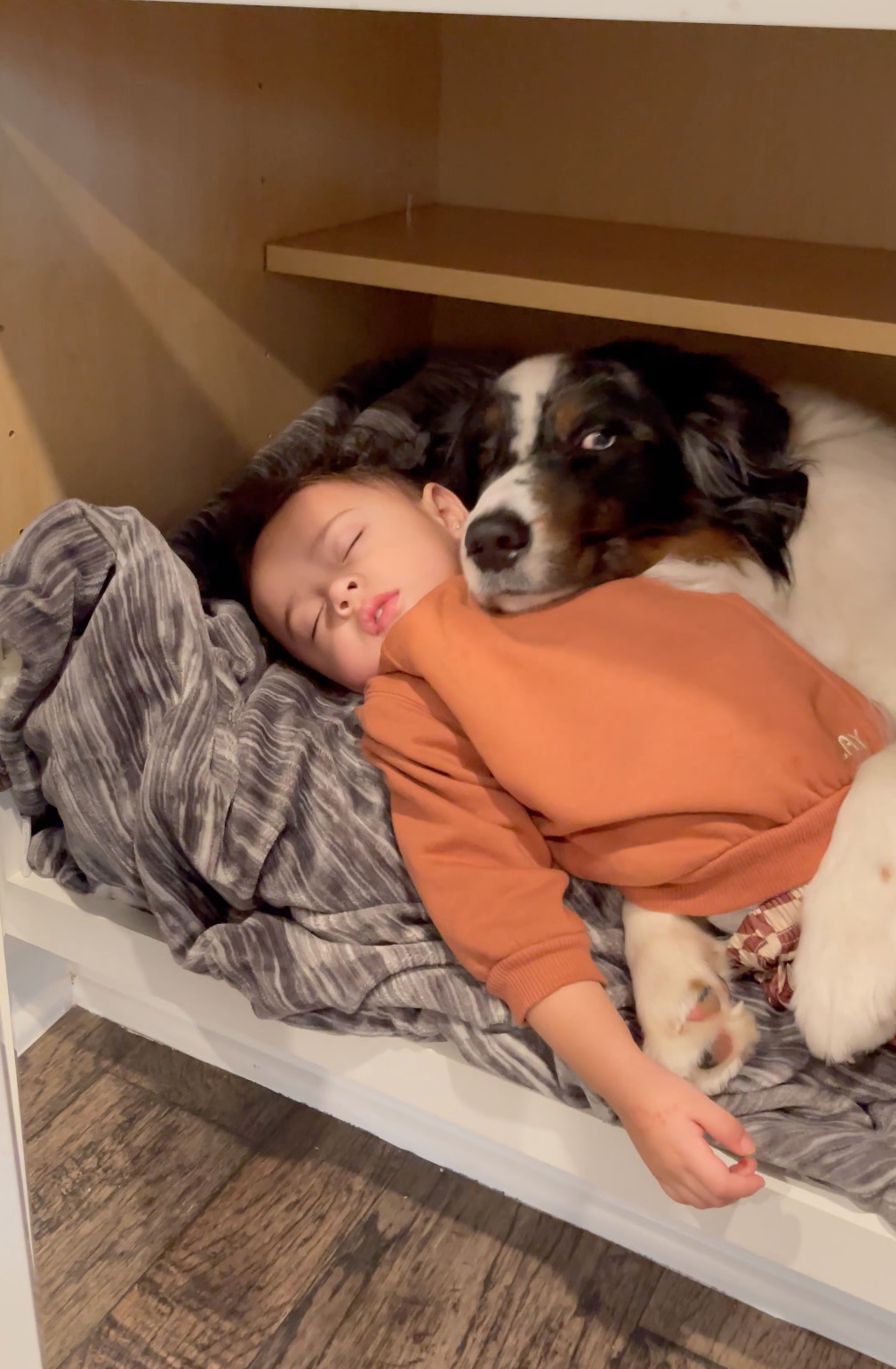 Echo cuddling Haltson.