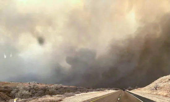 Sen. Ted Cruz, Rep. Ronny Jackson Push Bill to Help Ranchers Devastated by Texas Wildfires