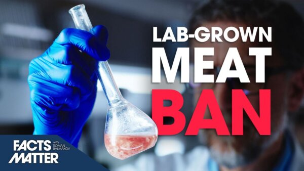 Lab-grown Meat About to Be Banned