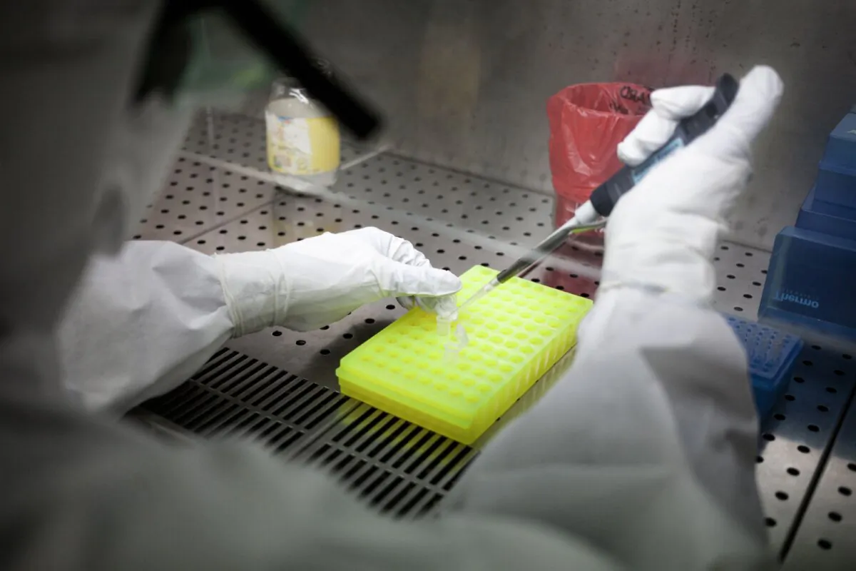 A lab technician handles samples in the P3, the Pasteur Institute's laboratory dedicated to the Ebola virus, in Bangui, the Central African Republic, on May 31, 2018. (Florent Vergnes/AFP via Getty Images)